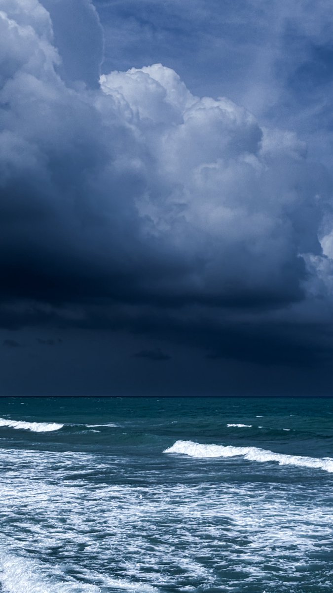 أَبو العز 🖤🌊 tweet media