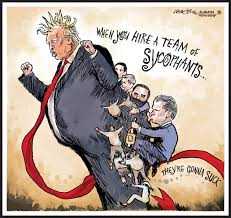 Bob Mellors tweet media