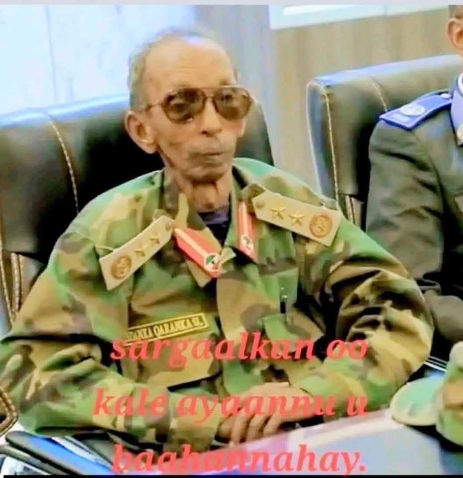 Sheikhspear 🍉 tweet media