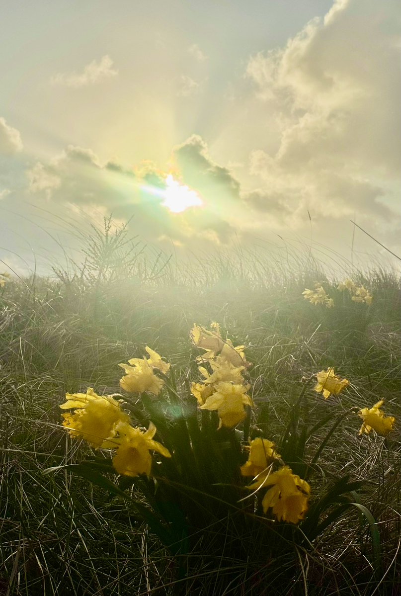 richardtkiewiet tweet media