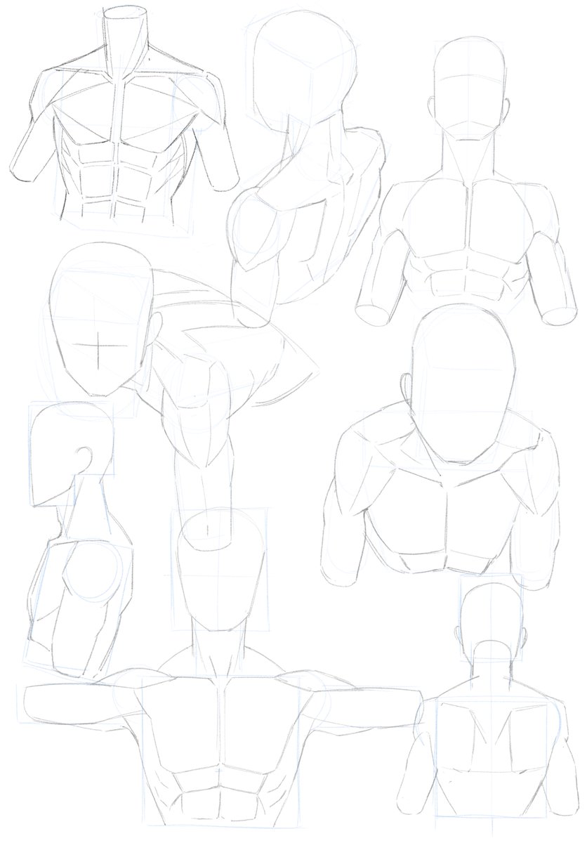 getsuyo_monday's tweet image. 上半身筋肉
#artstudy #anatomy