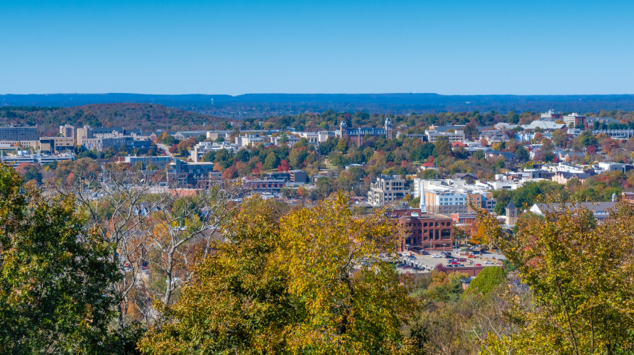 The Timeless Traveler tweet media