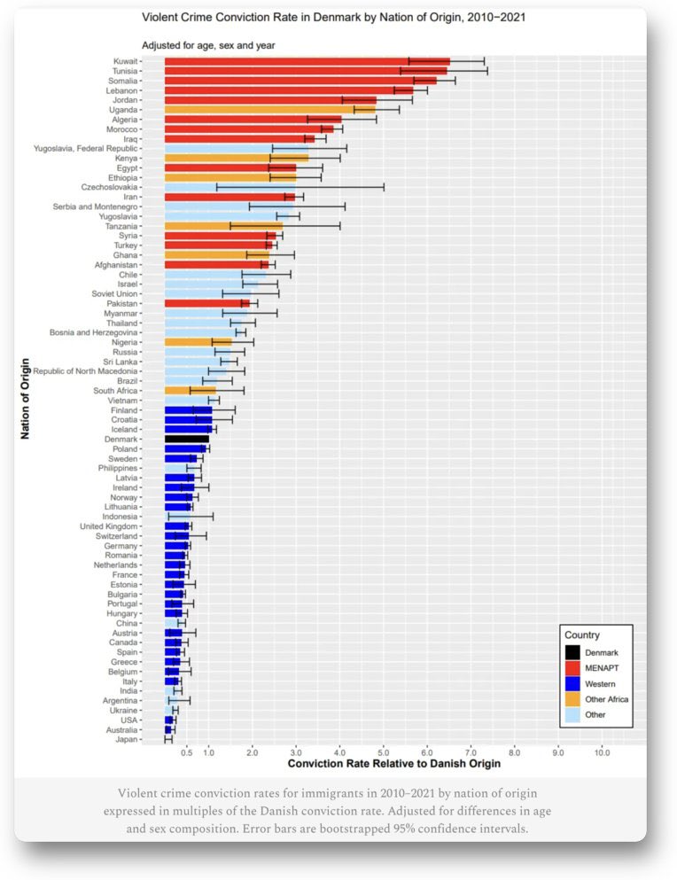 モチてん🧸🇯🇵 tweet media