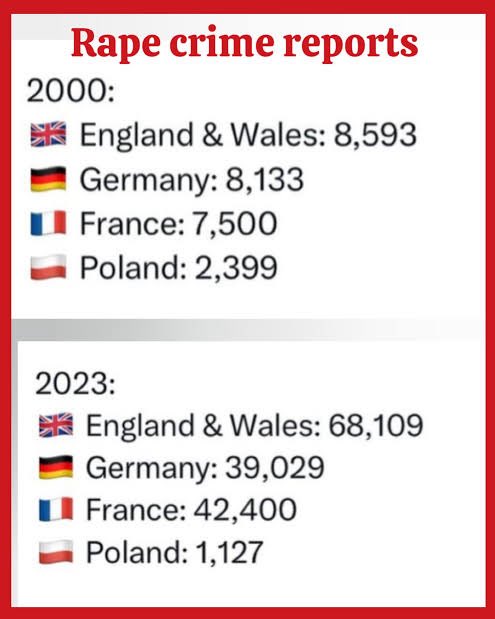 モチてん🧸🇯🇵 tweet media