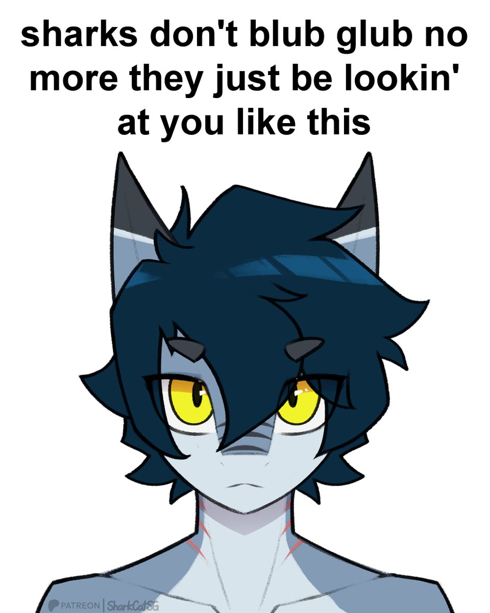 SharkCatSG (Comms Closed) tweet media