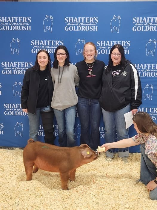 MUHS_Principal tweet media