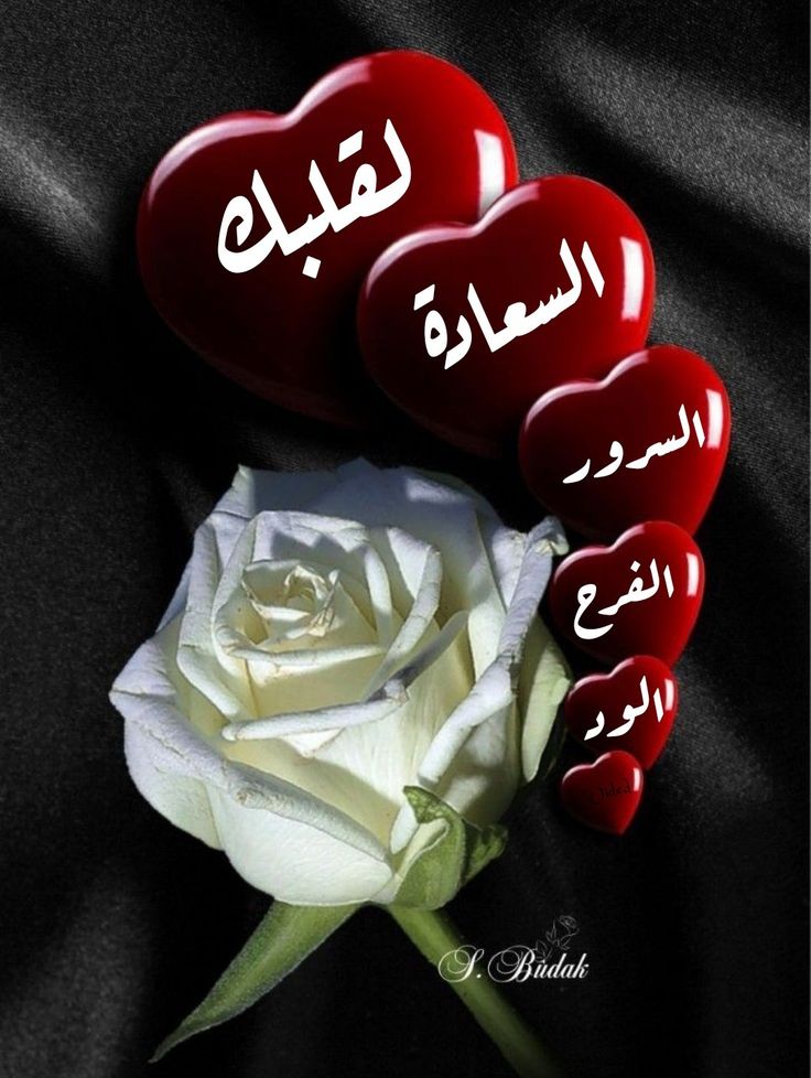 ⚜ حَامْـ ـد ⚜ tweet media