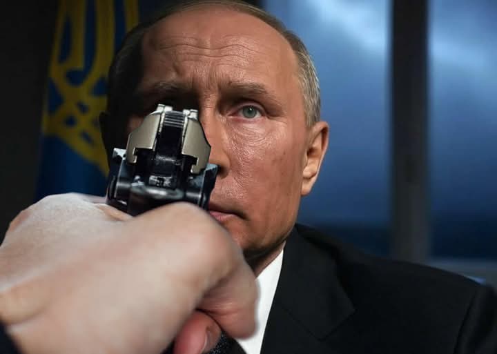 Wolfgang tweet media