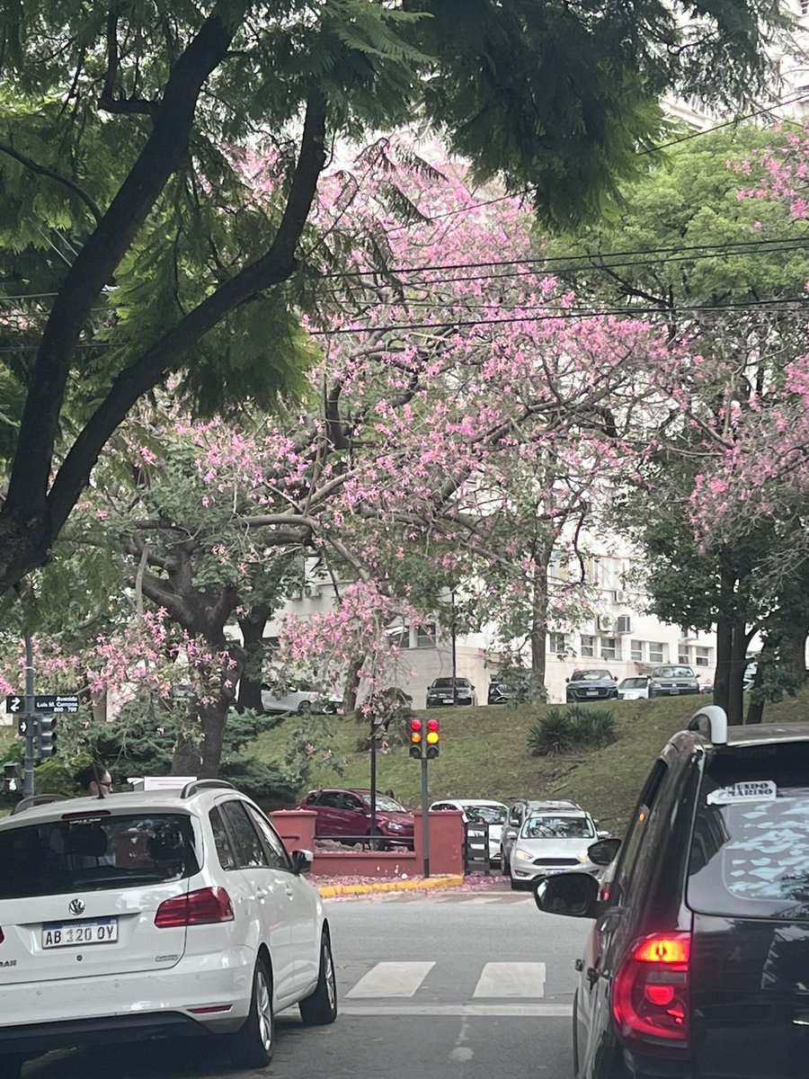 QuizViajero tweet media