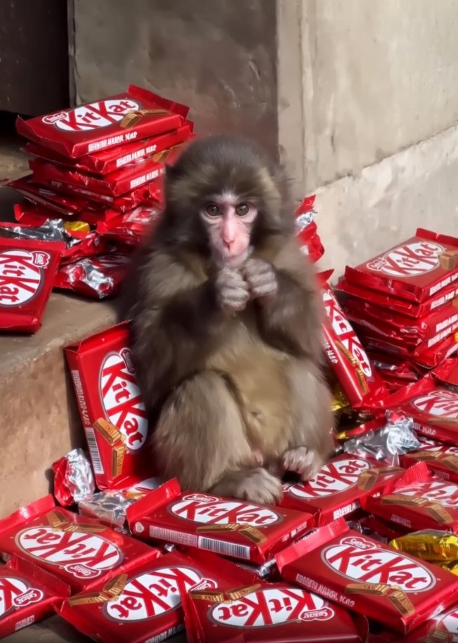 Volcaholic 🌋 tweet media