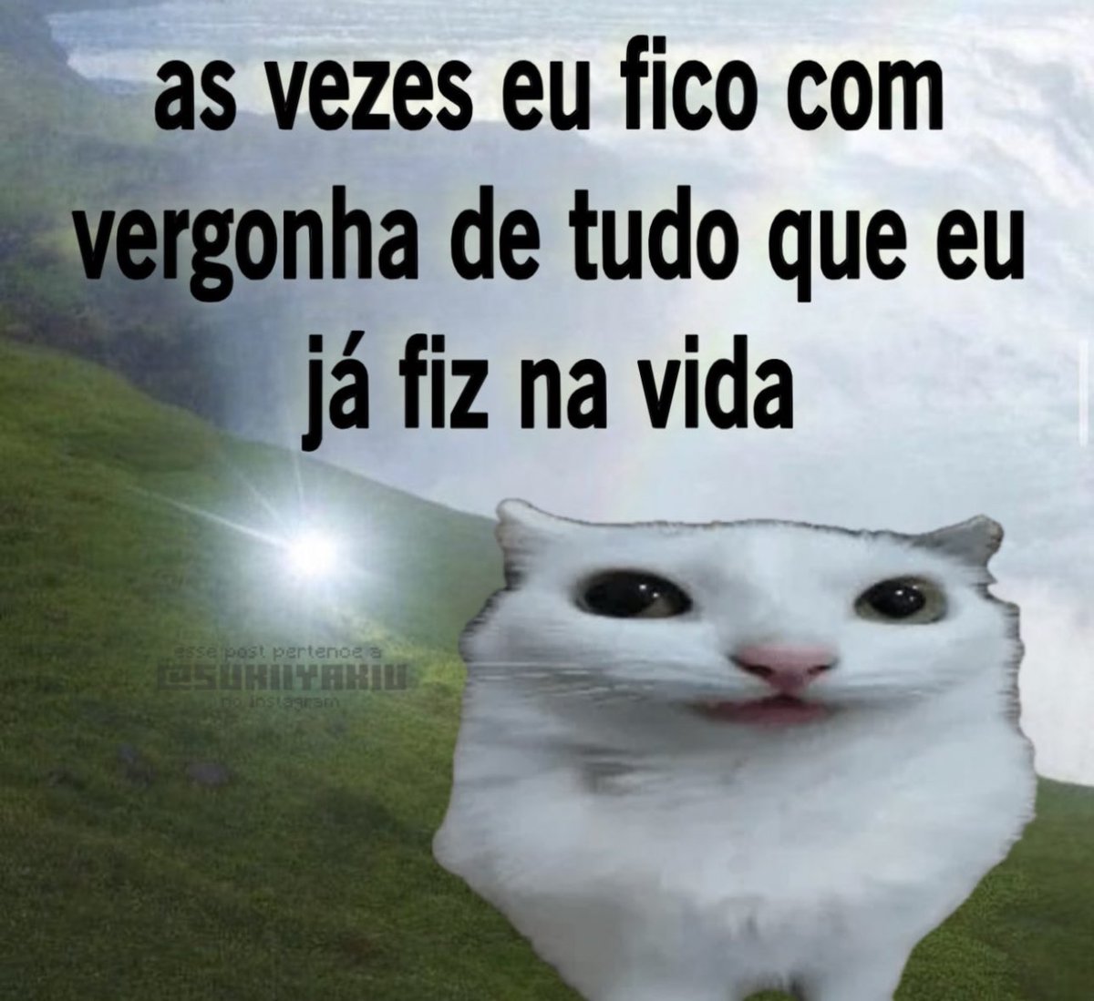 Shitpost só que de verdade tweet media