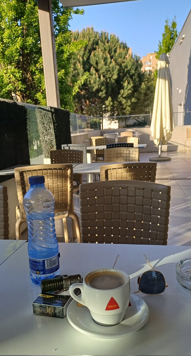 ElMagoJoLu🎩🪄⚽️🏀🏐🥊🏓🎾🎳⚾️Leones🦁 Del Ccs tweet media