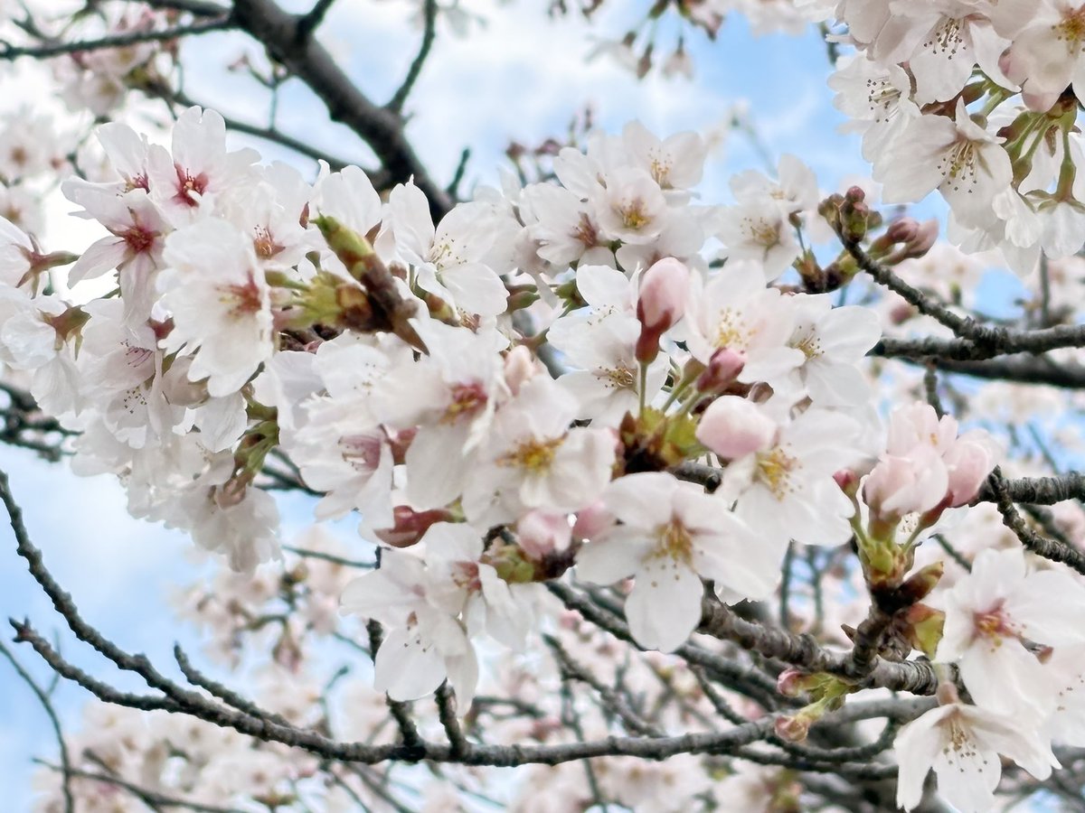 うた🥀 tweet media