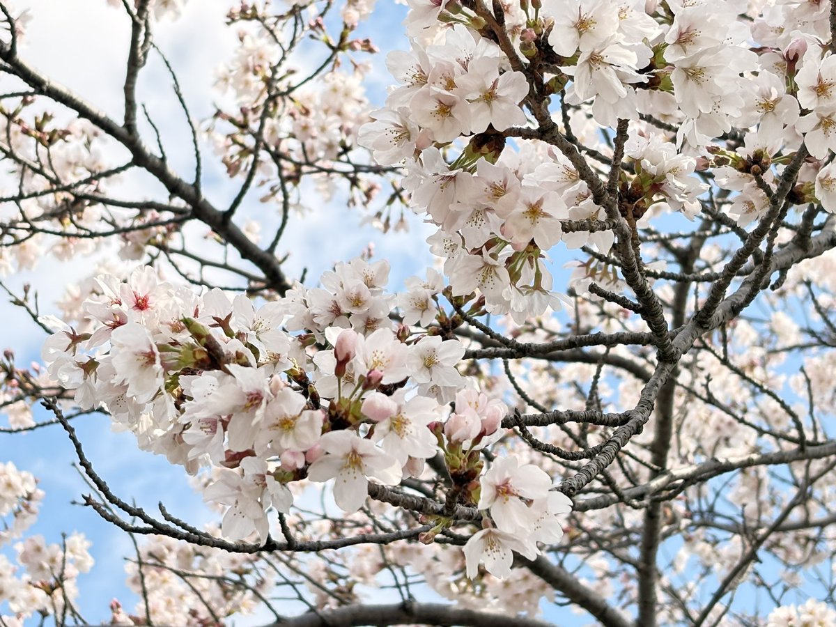 うた🥀 tweet media