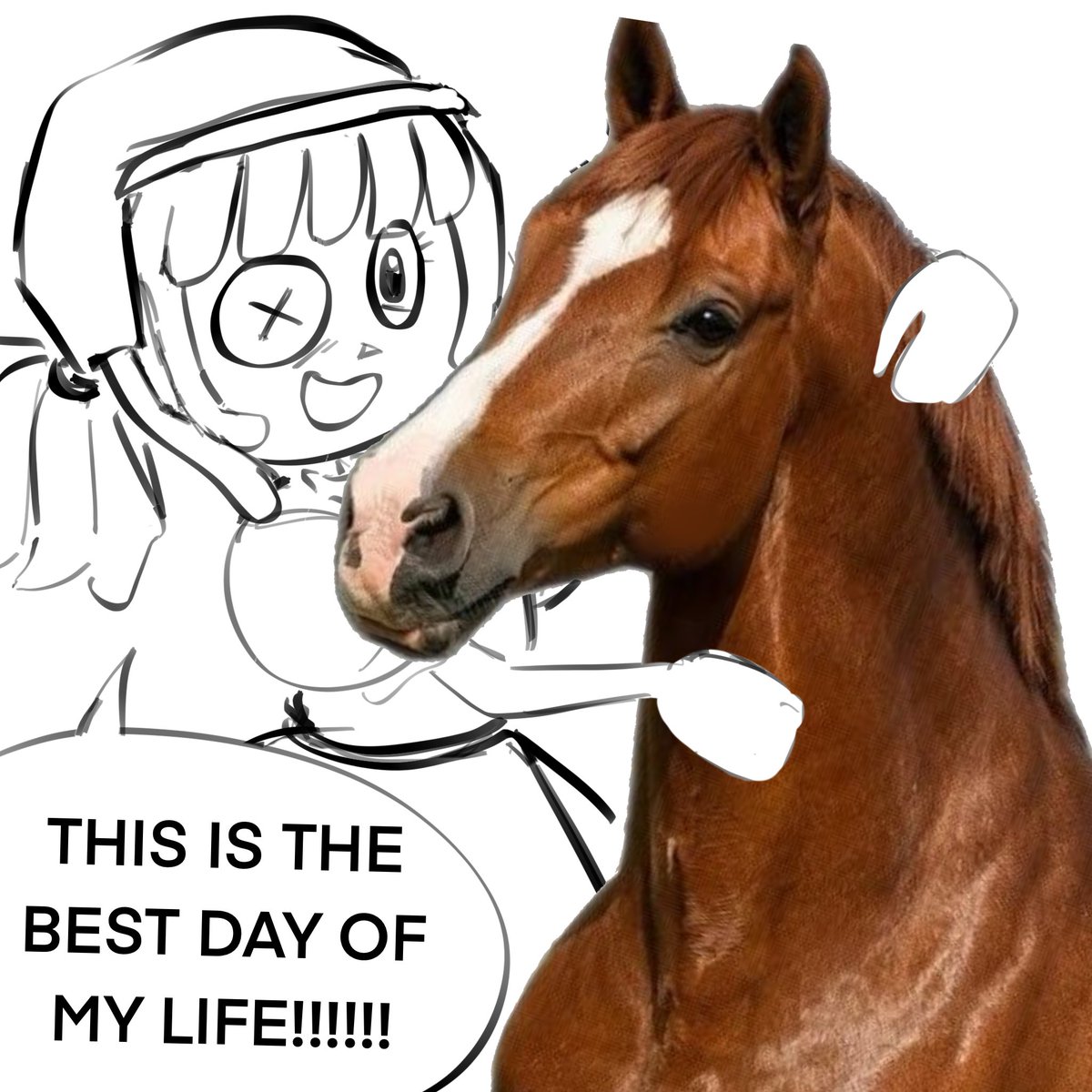 elizywizy tweet media