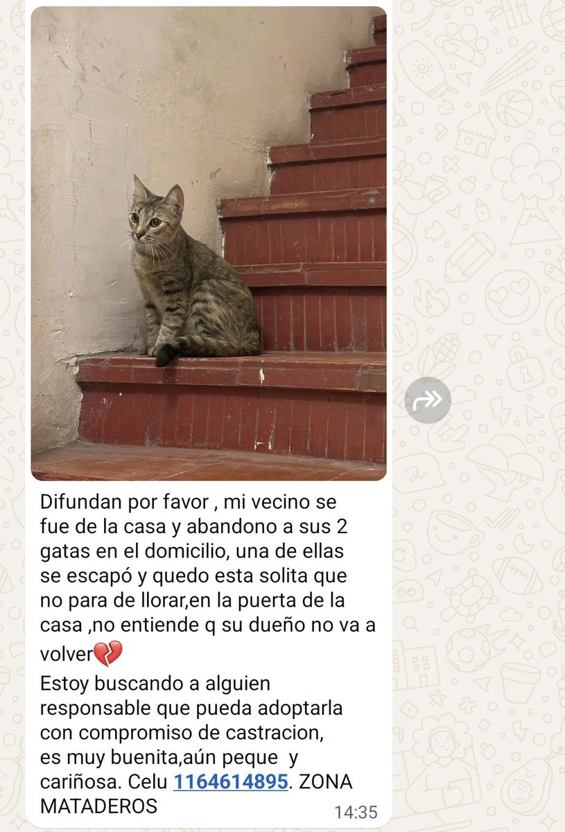 Laly 🇦🇷 tweet media