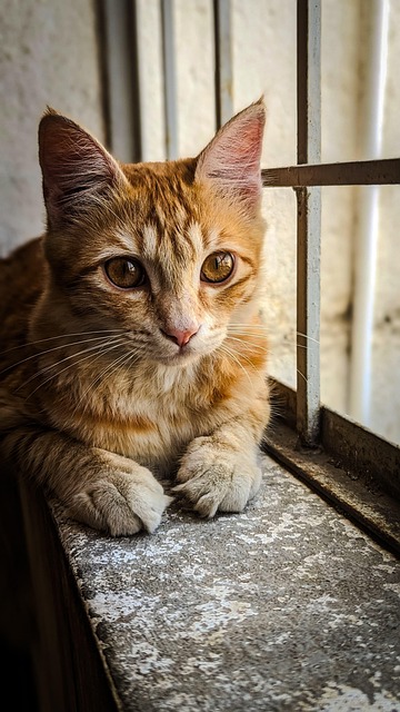 Megan Rodriguez tweet media