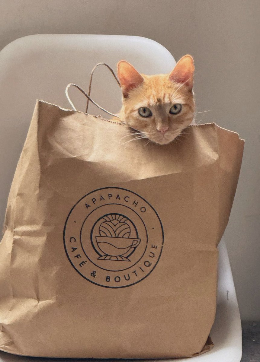 ᗪᖇa. Azazel tweet media