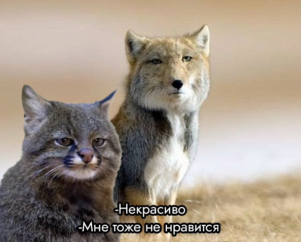 tramdrey tweet media