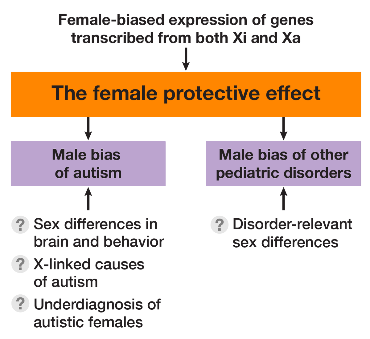Maya Talukdar tweet media