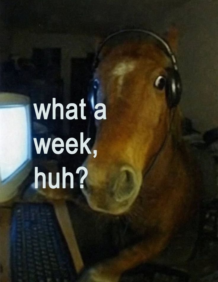 𝖈𝖍𝖆𝖇𝖆𝖟𝖎𝖙𝖊 tweet media