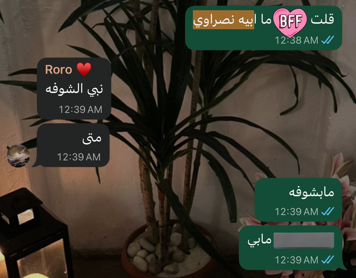 teresa lisbon tweet media