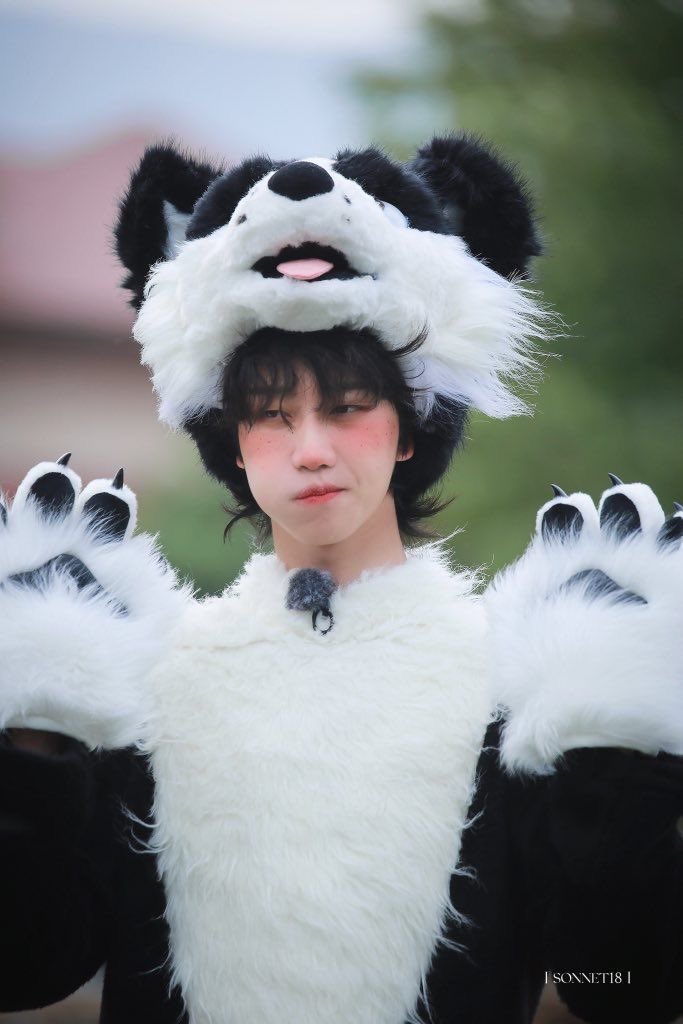 polyuriteen allshipper final boss tweet media