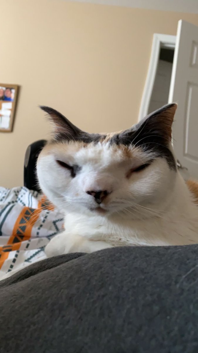 cherp | vtuber tweet media