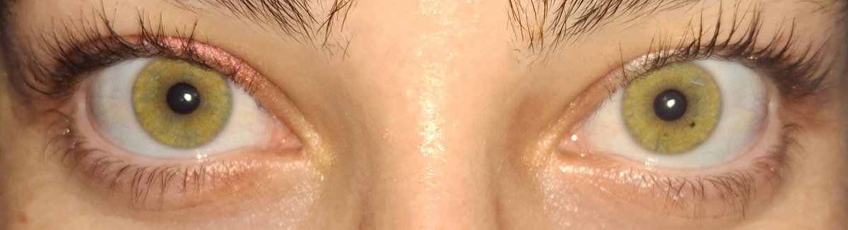 serenadlmlu's tweet photo. #iforyselcaday w/ rahees eyes

★ #ifeye #rahee #kimrahee #isd https://t.co/iO0d4TuYNi