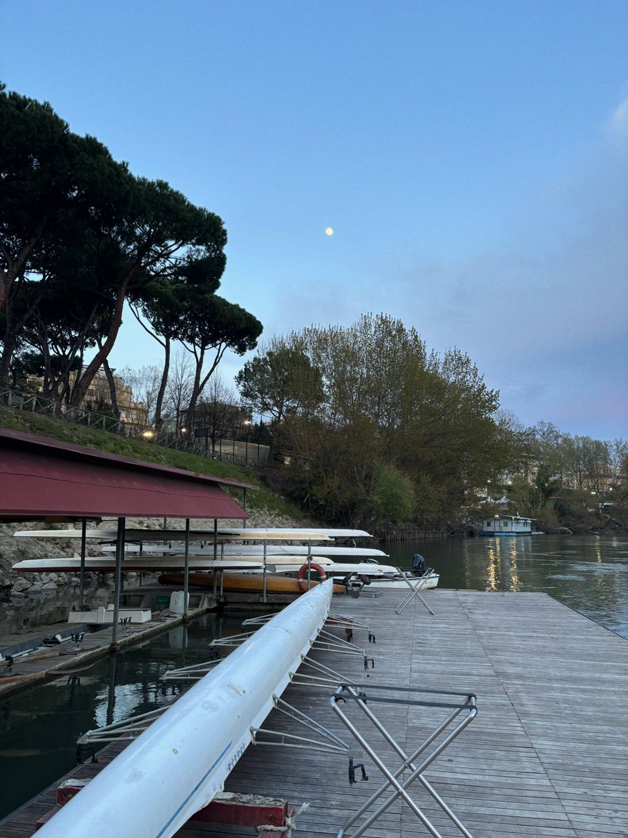 orIando furioso enjoyer tweet media