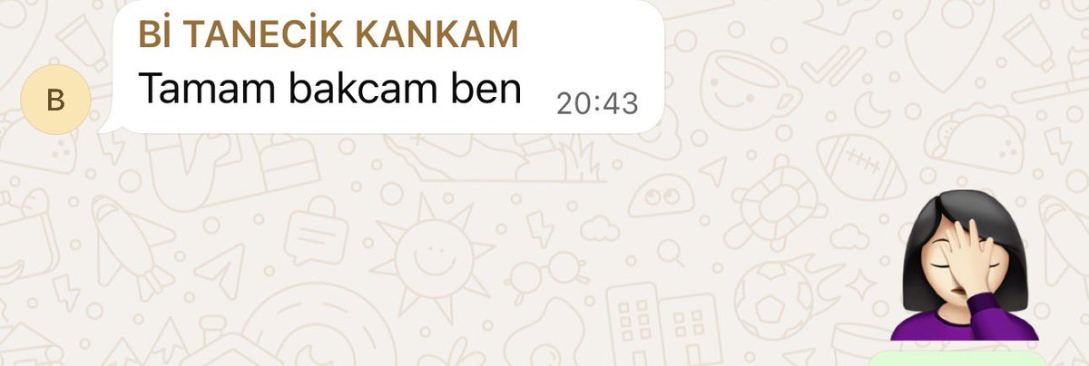 slldpnc's tweet photo. Kankama bir saatlik motivasyon konuşması yaptıktan sonra , kankamın cevabı 🤦🏻‍♀️
#motivasyon #kankiolmakbunungerektirir https://t.co/iyJMGi76t7