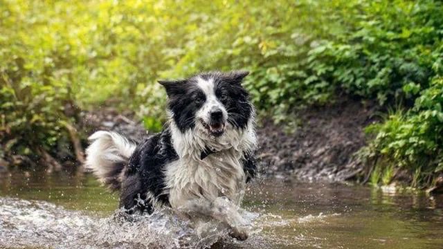 Benonwine tweet media