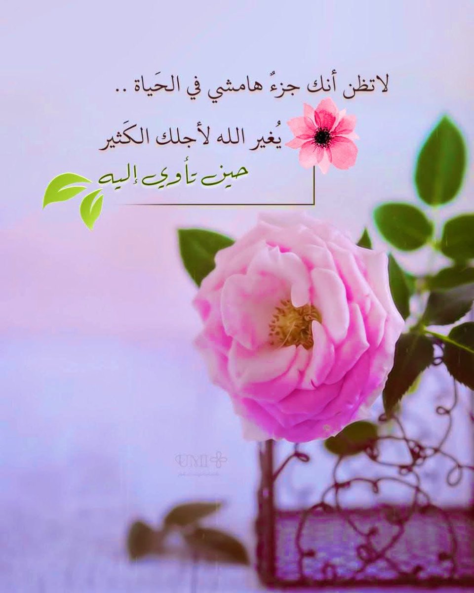 ام حازم tweet media