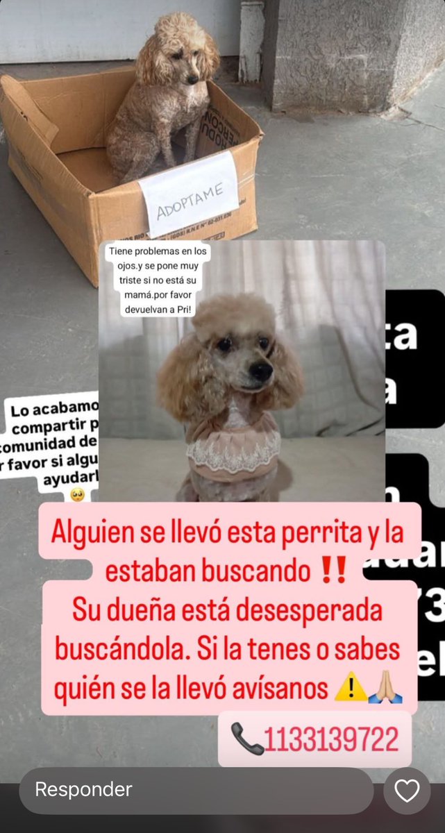 chicas x favor si pueden hacer algo x ELLA