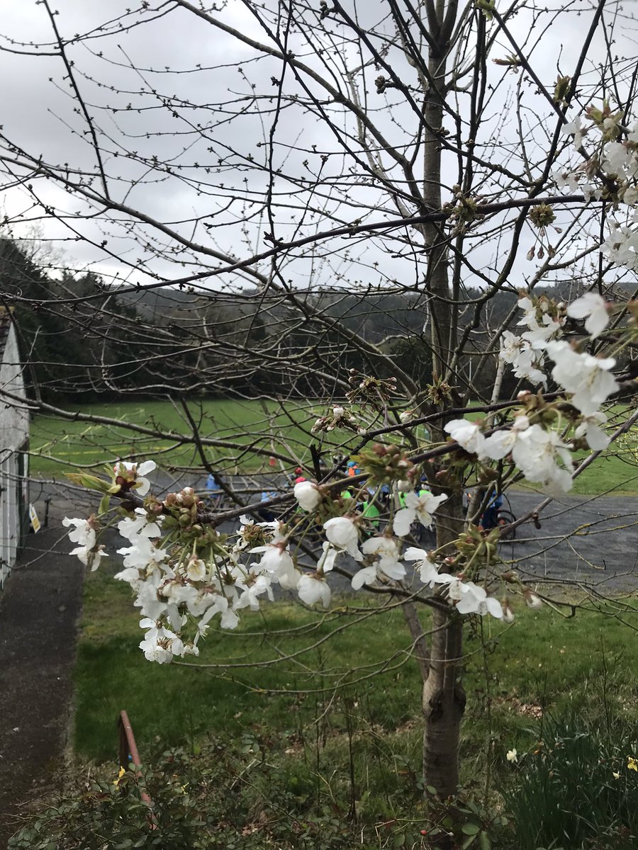 Tina Clarke tweet media