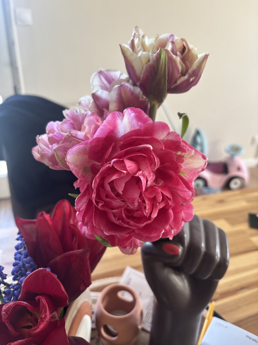 Arrangemento #PlantsLover tweet media