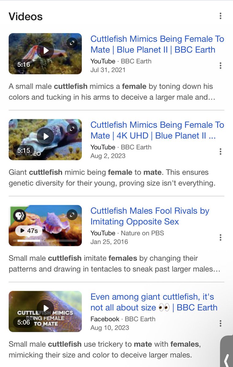 swyx tweet media