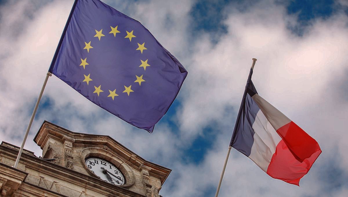 Frid 🇪🇺🦌 tweet media