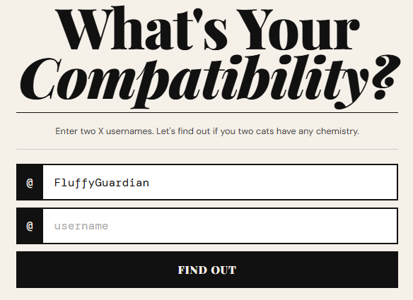 𝕐𝕒𝕞𝕒𝕥𝕠 tweet media