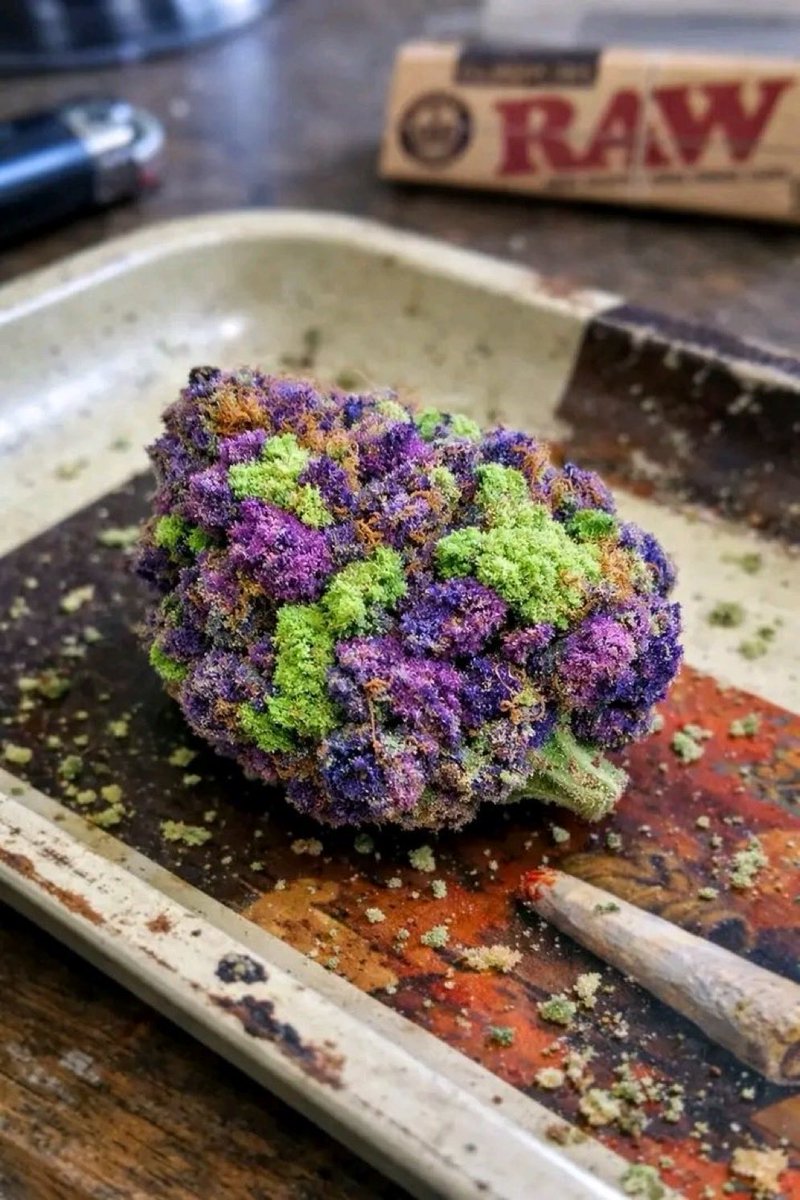 Stoner Barbie tweet media