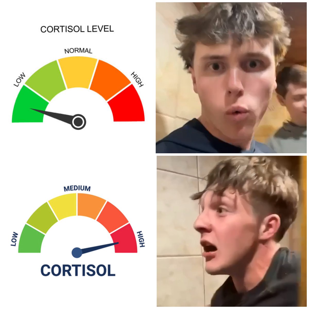 Hingle McCringleberry tweet media