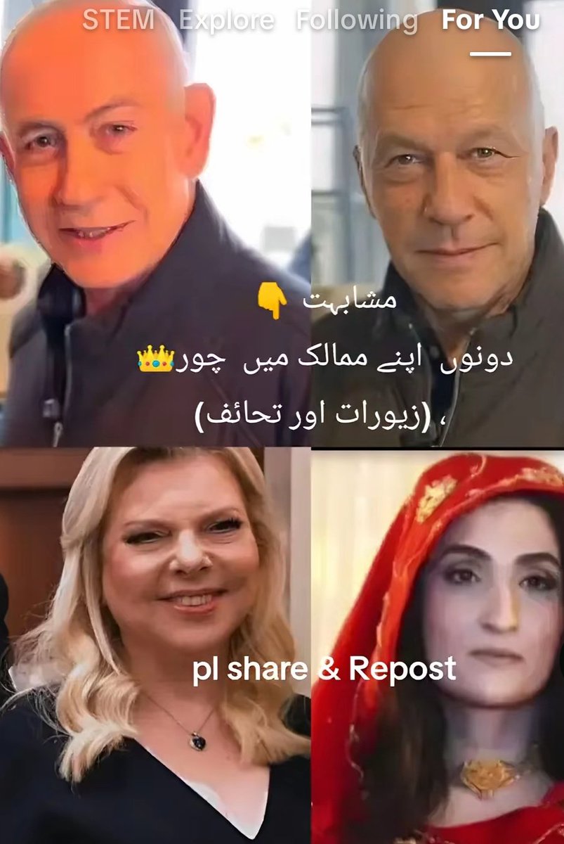 Alamgir Zeb tweet media