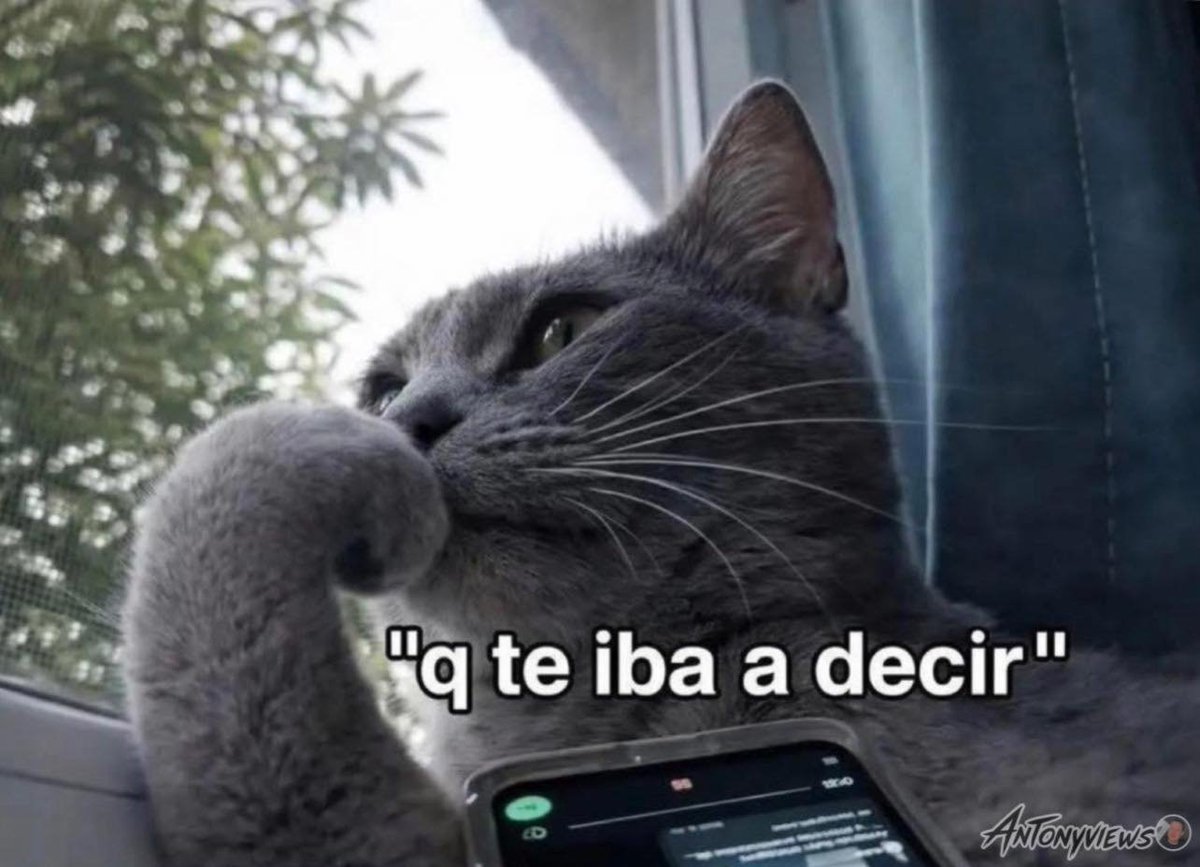 🇲🇽 México Mágico ✨ tweet media