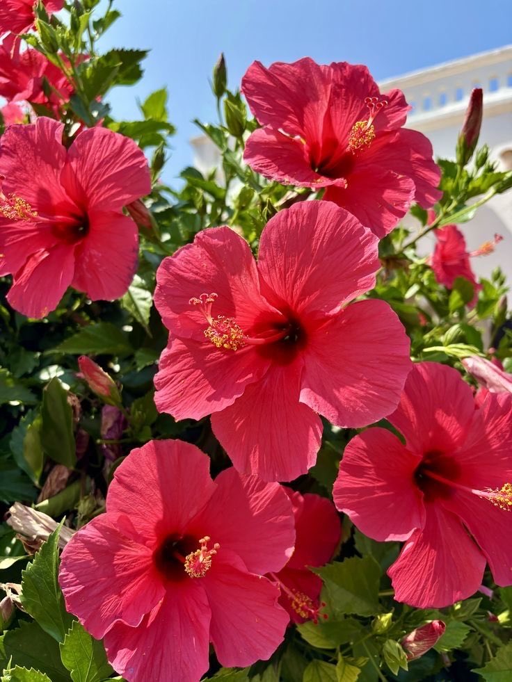 𝙈𝙖𝙧𝙮 tweet media