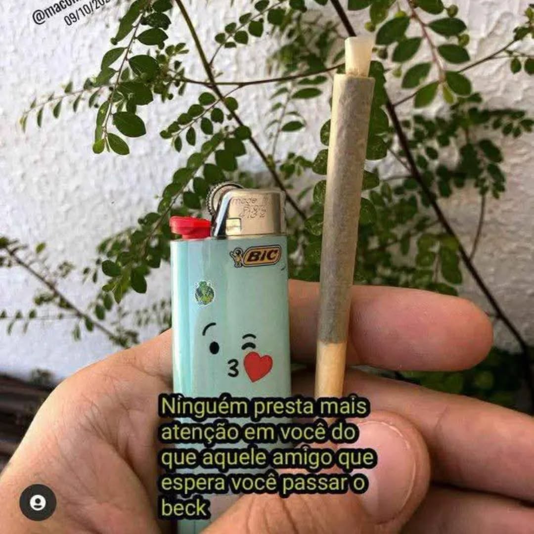 SPACECANNABIS's tweet photo. https://t.co/bt4rhn5fE3