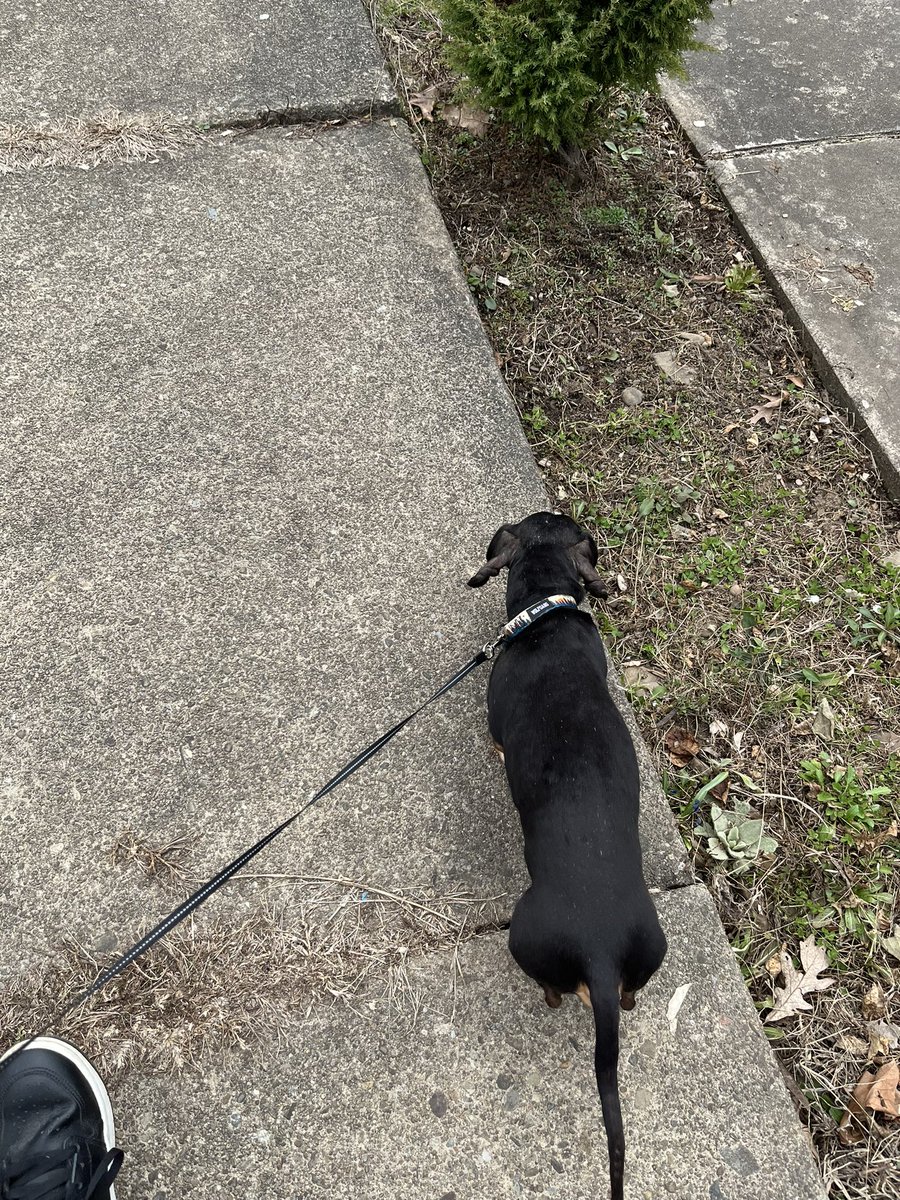 Sierra.Lininger tweet media