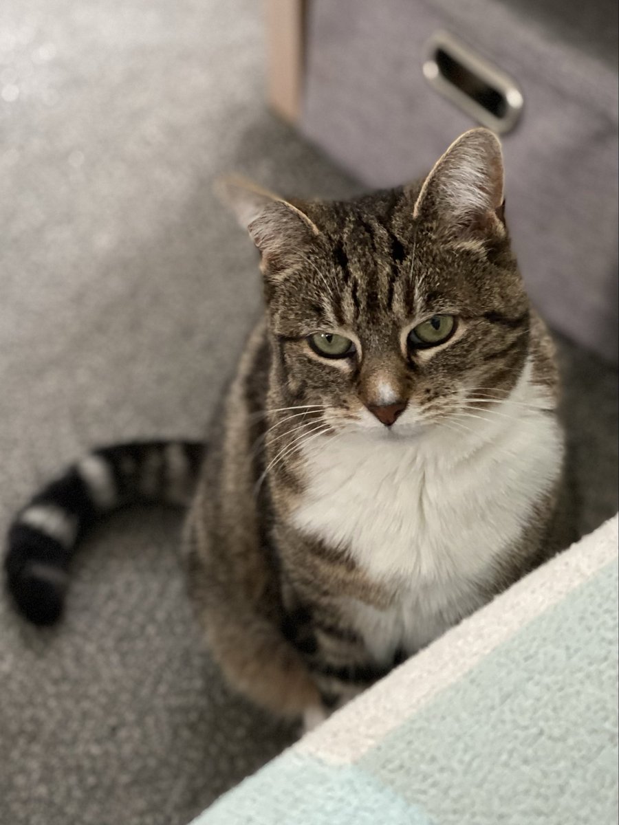 Ali Green 😻 tweet media