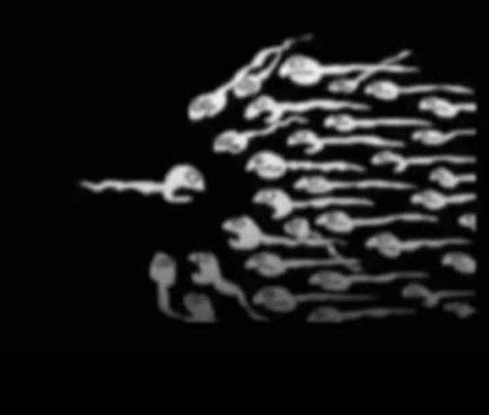 c̶h̶i̶m̶a̶☦️ tweet media