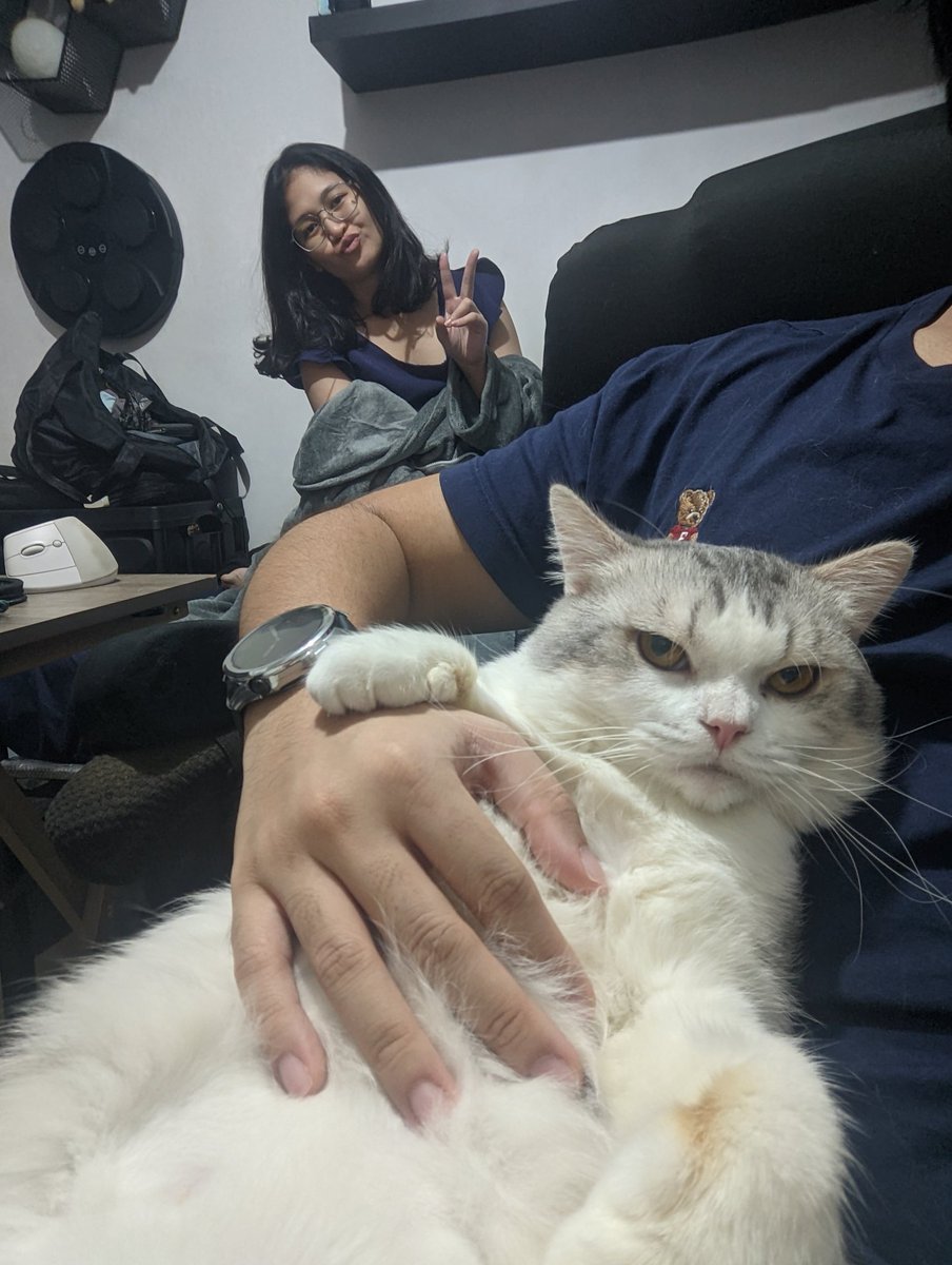 ThingsLeftUnCed's tweet photo. We miss you every day, u grumpy boi. https://t.co/M2YfkLO5yx