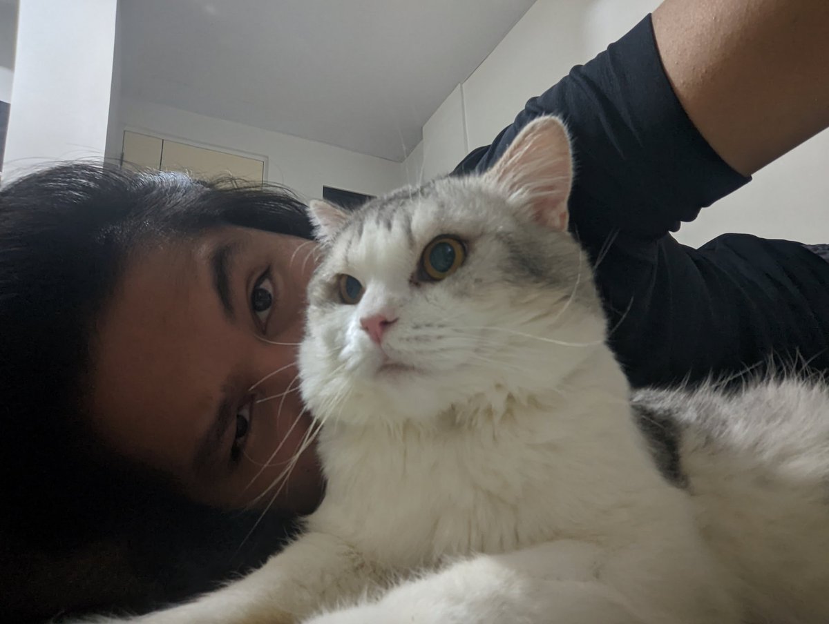 ThingsLeftUnCed's tweet photo. We miss you every day, u grumpy boi. https://t.co/M2YfkLO5yx